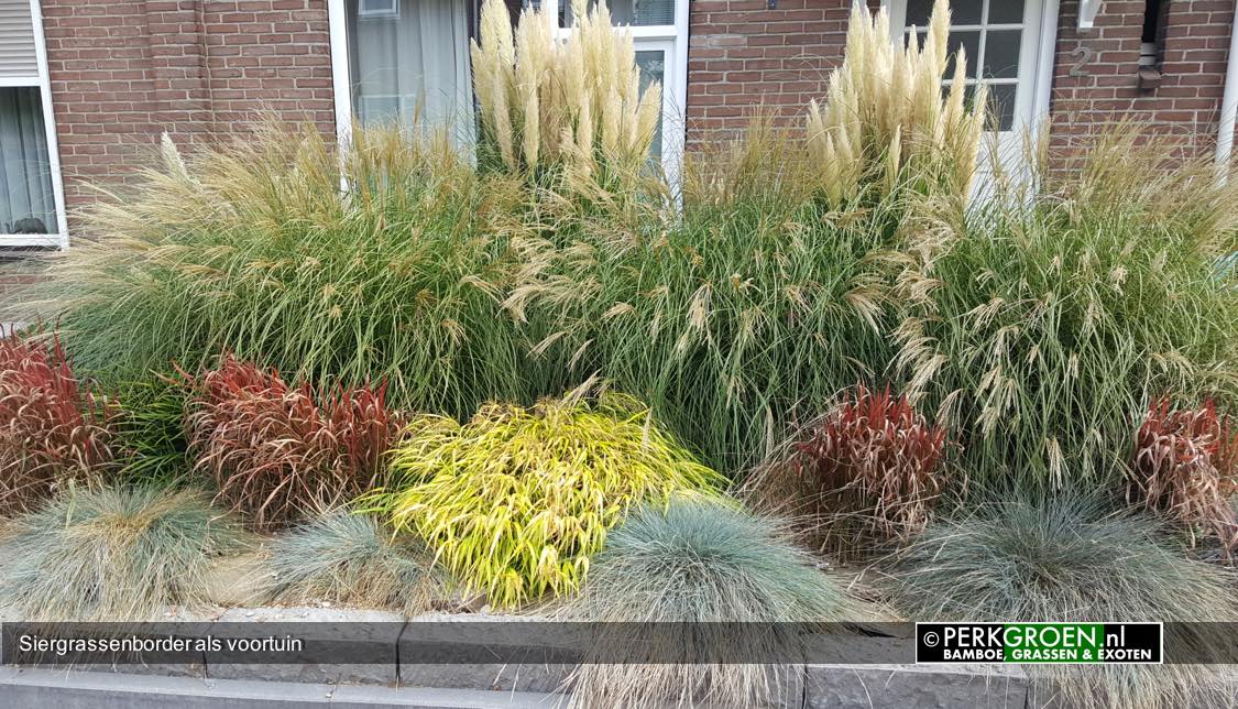 Siergrassenborder als voortuin